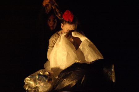 TRAS LA SOMBRA DE PÁJAROS